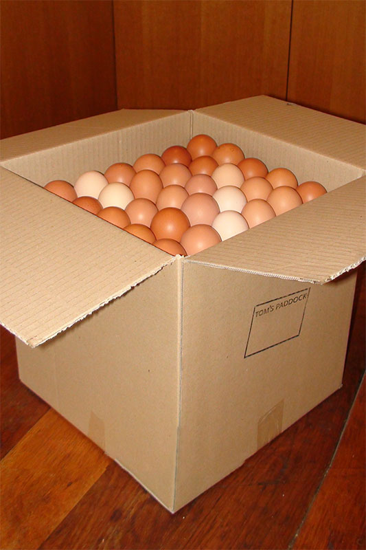 This is our packed Box Of Eggs with our reusable trays.