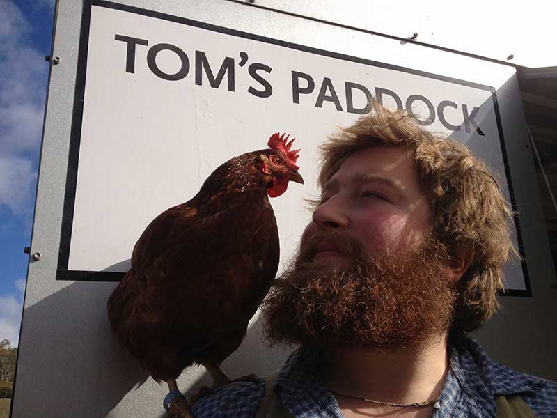 Chicken Standing on Farmer Toms shoulder infront of Tomspaddock Sign