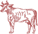 Cow