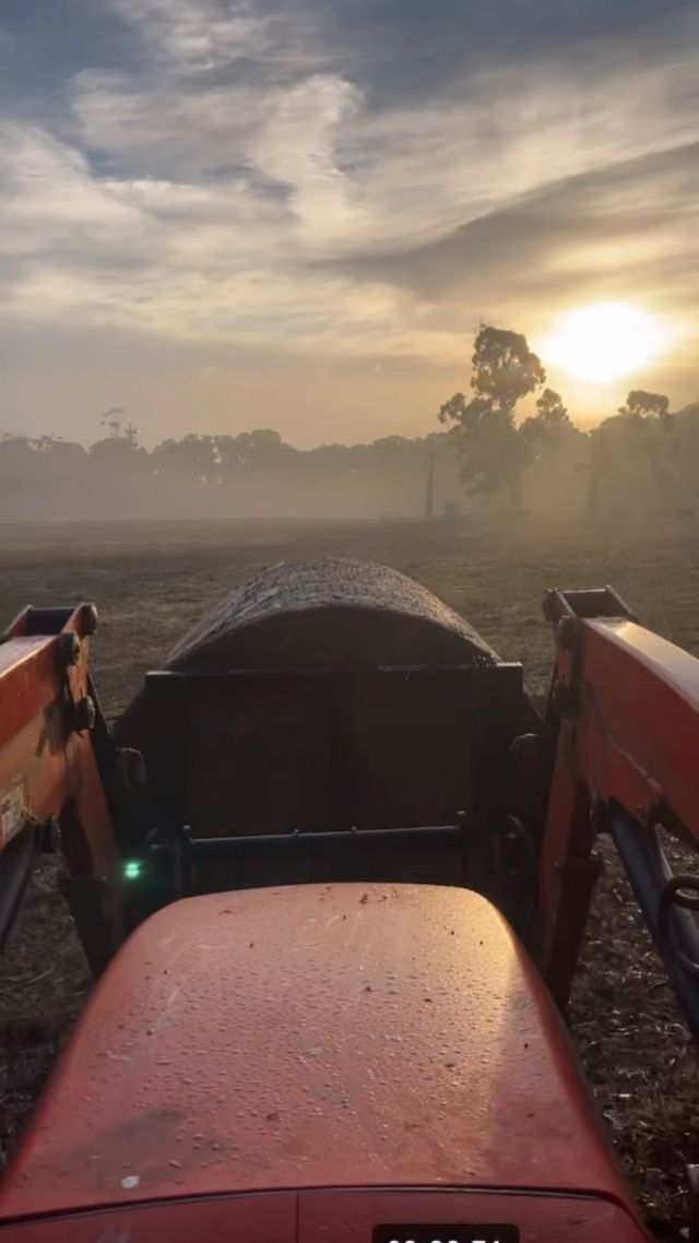 Instagram post 18162666415227664