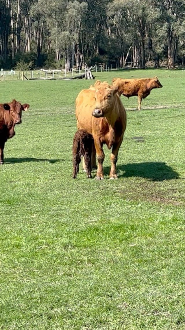 Welcome to the family 
Little one